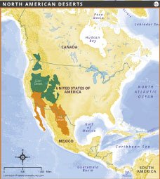 north-america-desert-map-thumb