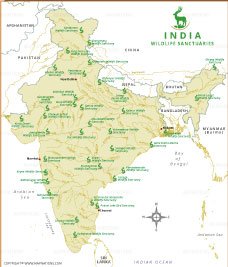 india-wildlife-sanctuaries-thumb