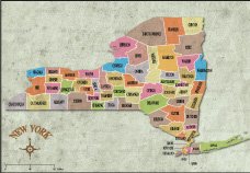 Vintage New York County Map