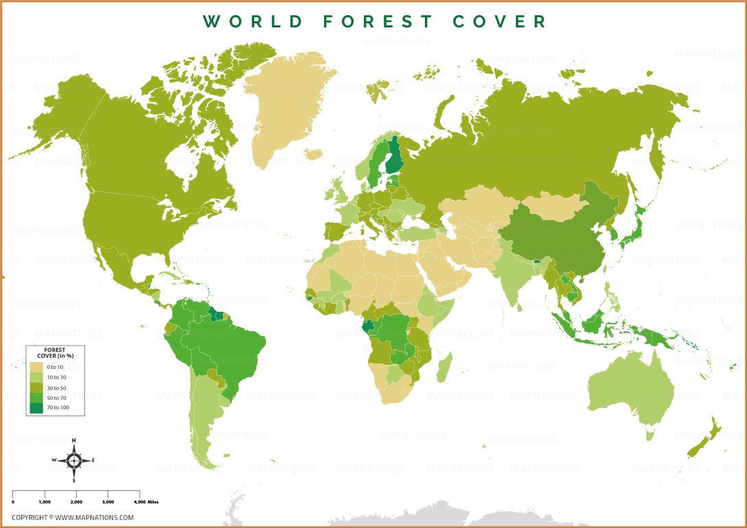 World Forest Cover Map thumbnail